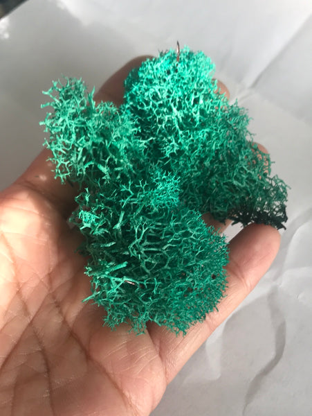 Reindeer Moss, Dark Green Moss