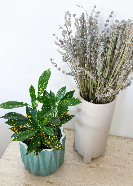 Dried Lavender Bundle