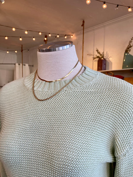 Flat Snake Chain Necklace