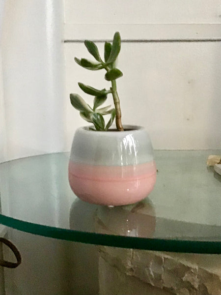 Pink Grey Pot