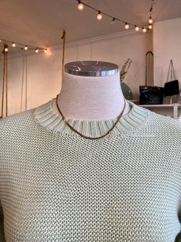 Flat Snake Chain Necklace