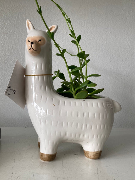 Llama Ceramic Pot