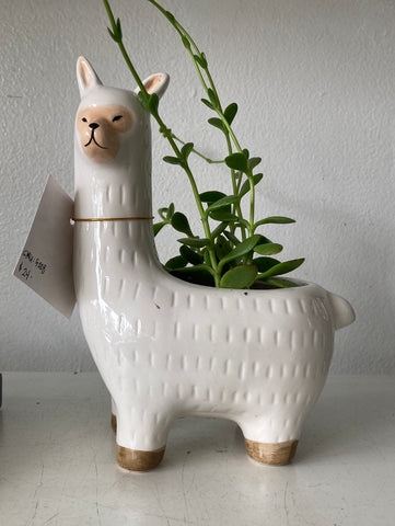 Llama Ceramic Pot