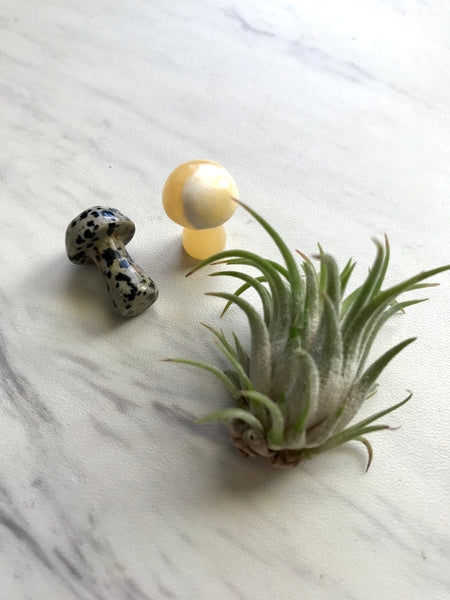 Crystal Mushroom Sculptured Stone