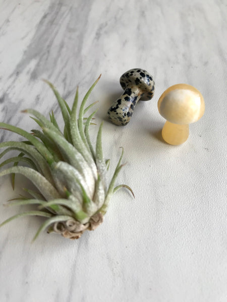 Crystal Mushroom Sculptured Stone