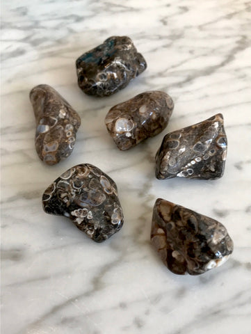 Turitella Agate Crystal Stone