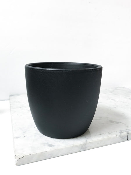 4” Standard Pot