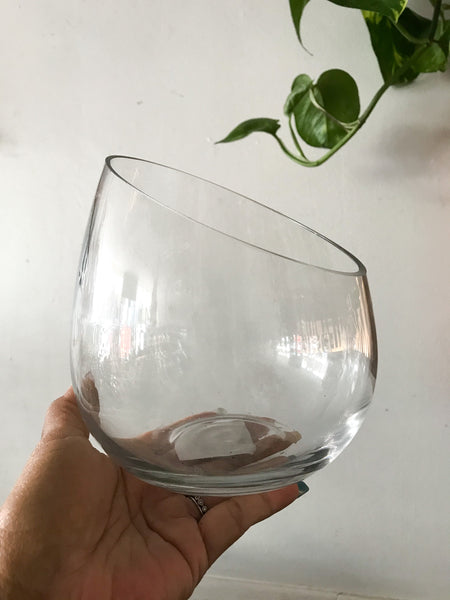 Glass Terrarium Bowl