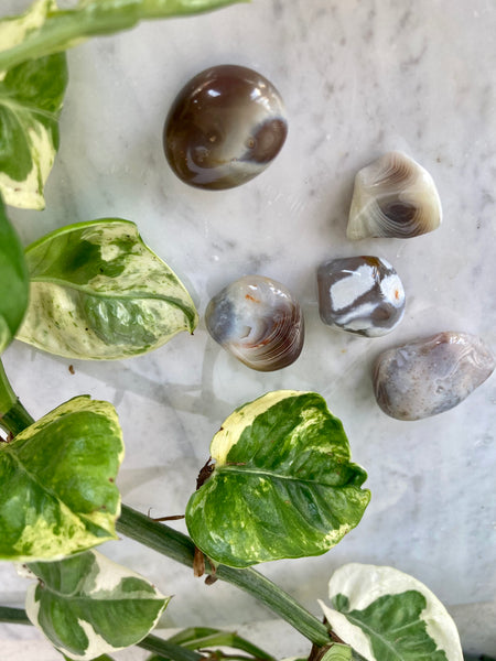 Botswana Agate Crystal Stone