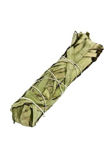 4.5” Eucalyptus Smudge Stick