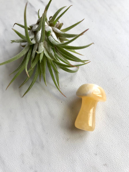 Crystal Mushroom Sculptured Stone