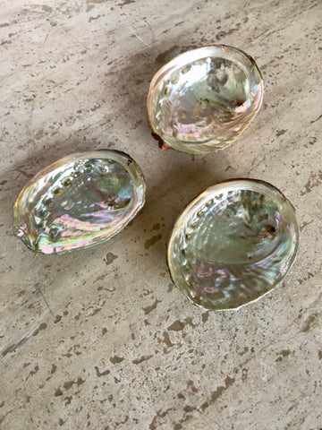 Abalone Shell