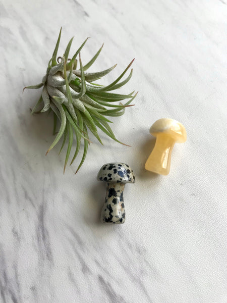 Crystal Mushroom Sculptured Stone