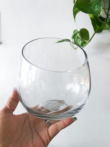 Glass Terrarium Bowl