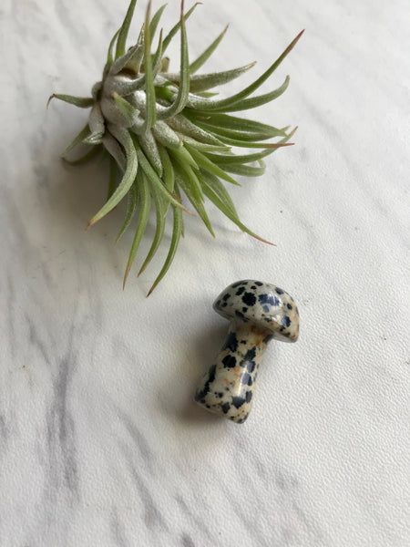 Crystal Mushroom Sculptured Stone